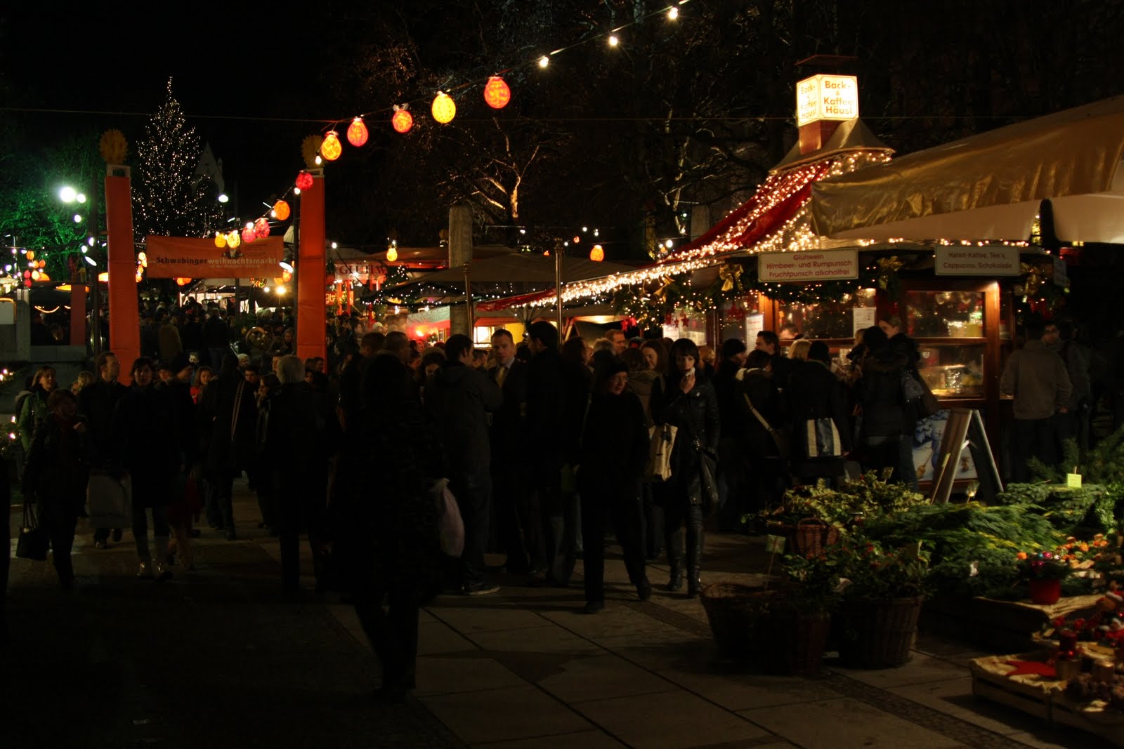 [IMG_8532.JPG]