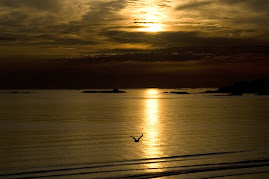 Sunrise on Massachusetts Bay