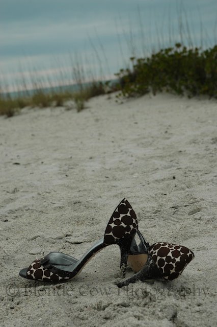 [Morris-Hudson+110.jpg]