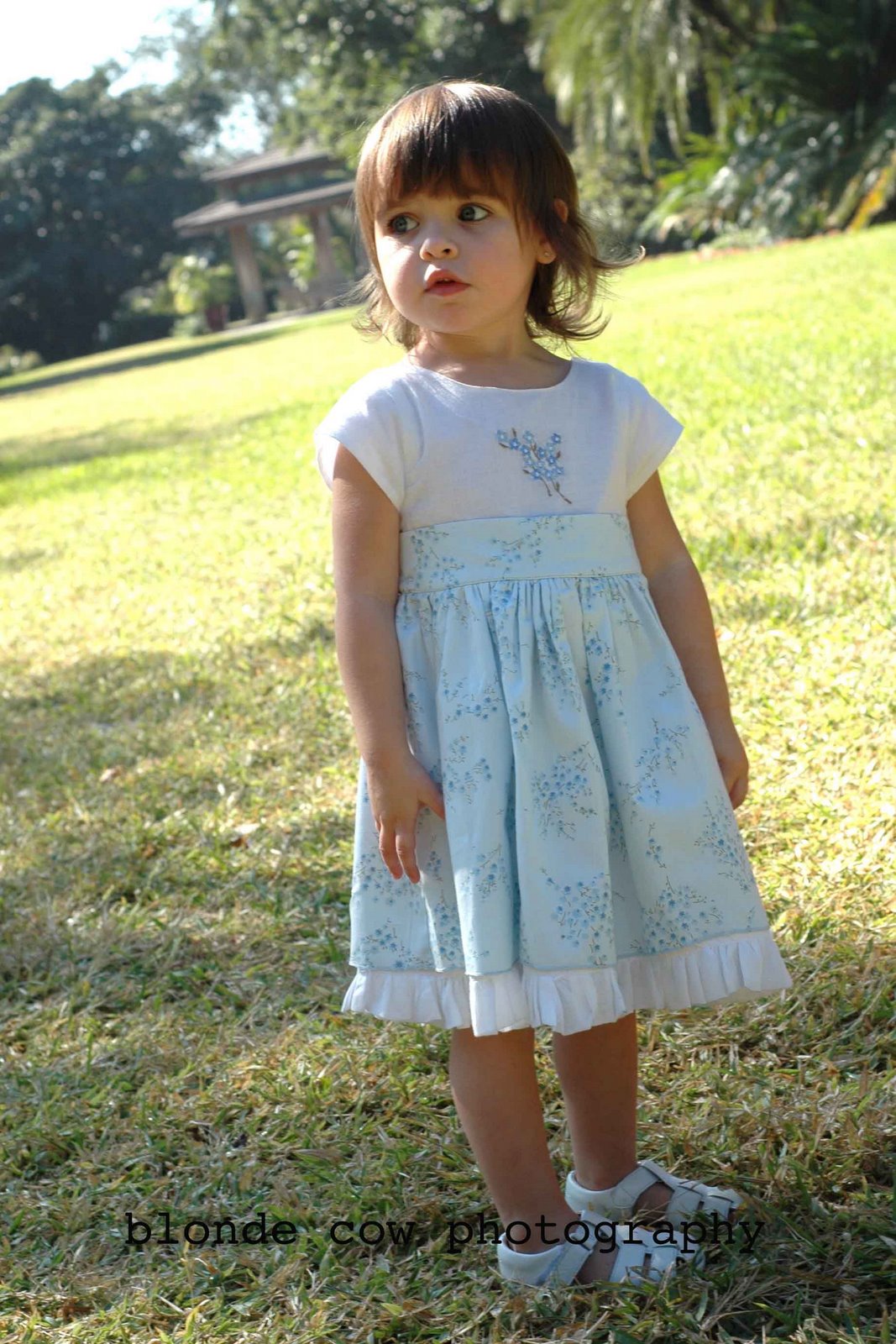 [NovemberShoots0109+copy.jpg]