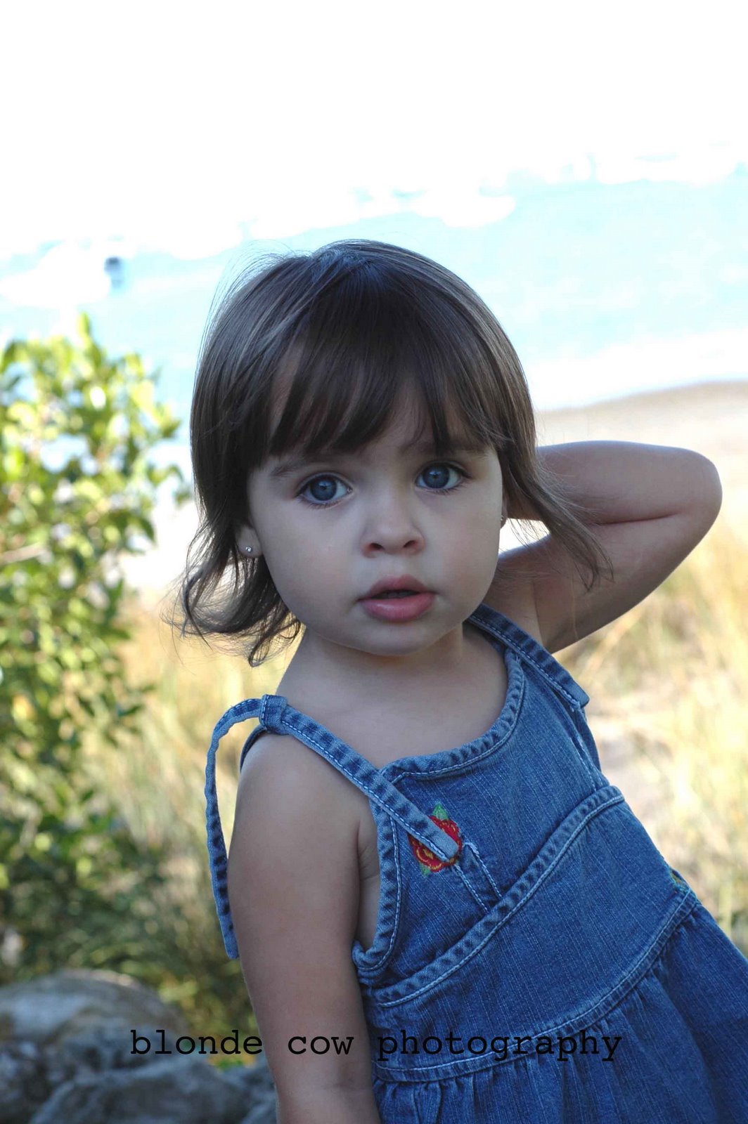 [NovemberShoots0219+copy.jpg]