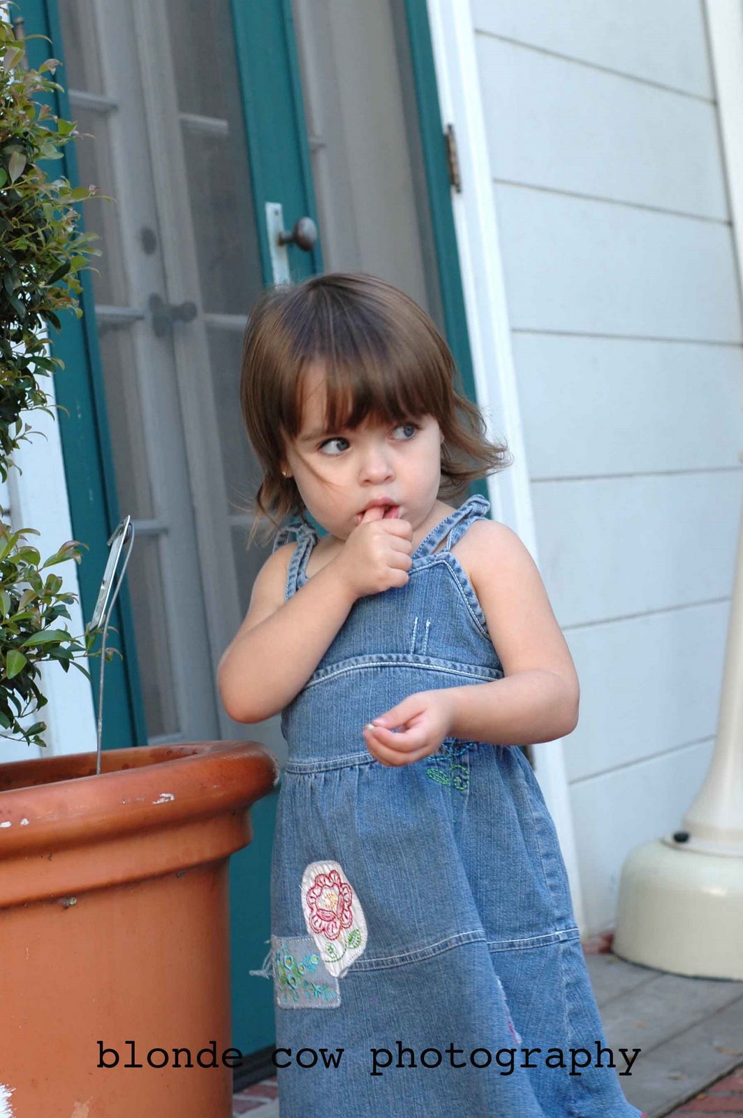 [NovemberShoots0224+copy.jpg]