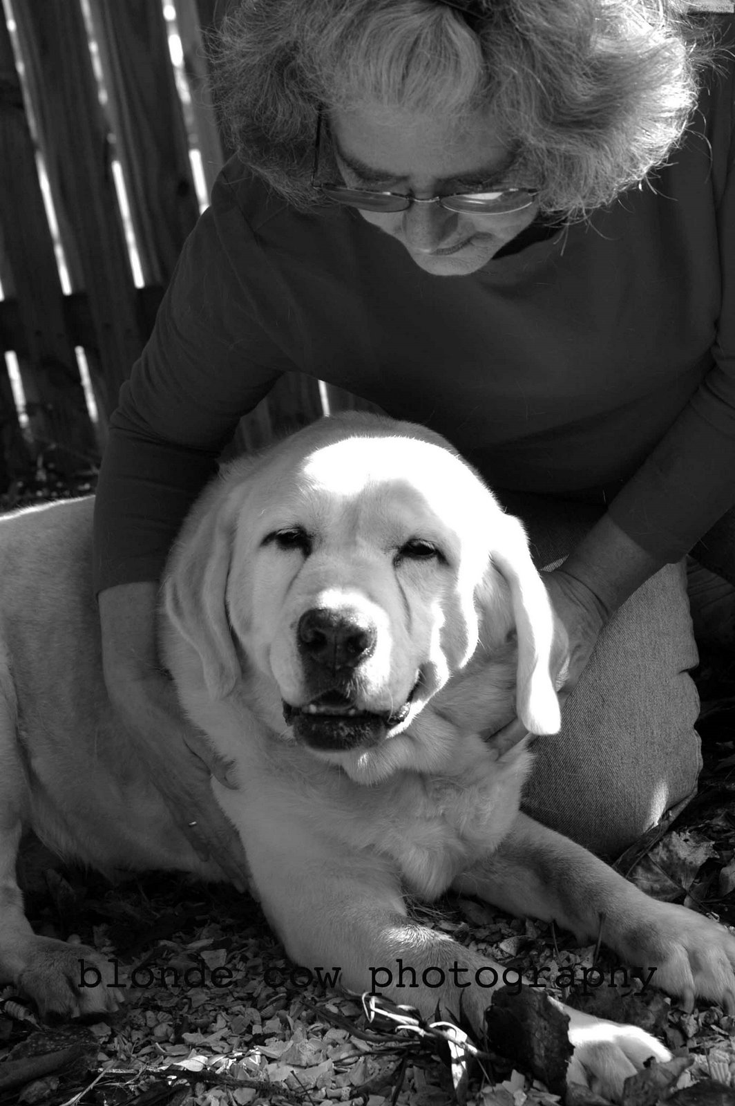 [NovemberShoots0412+copy.jpg]