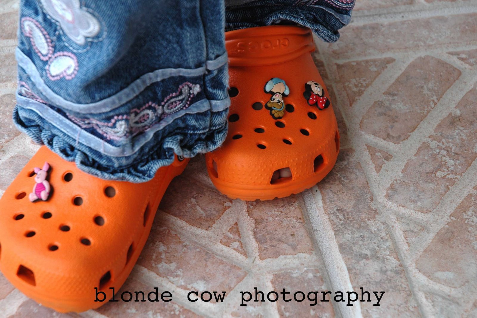 [FenixFamily0455+copy.jpg]