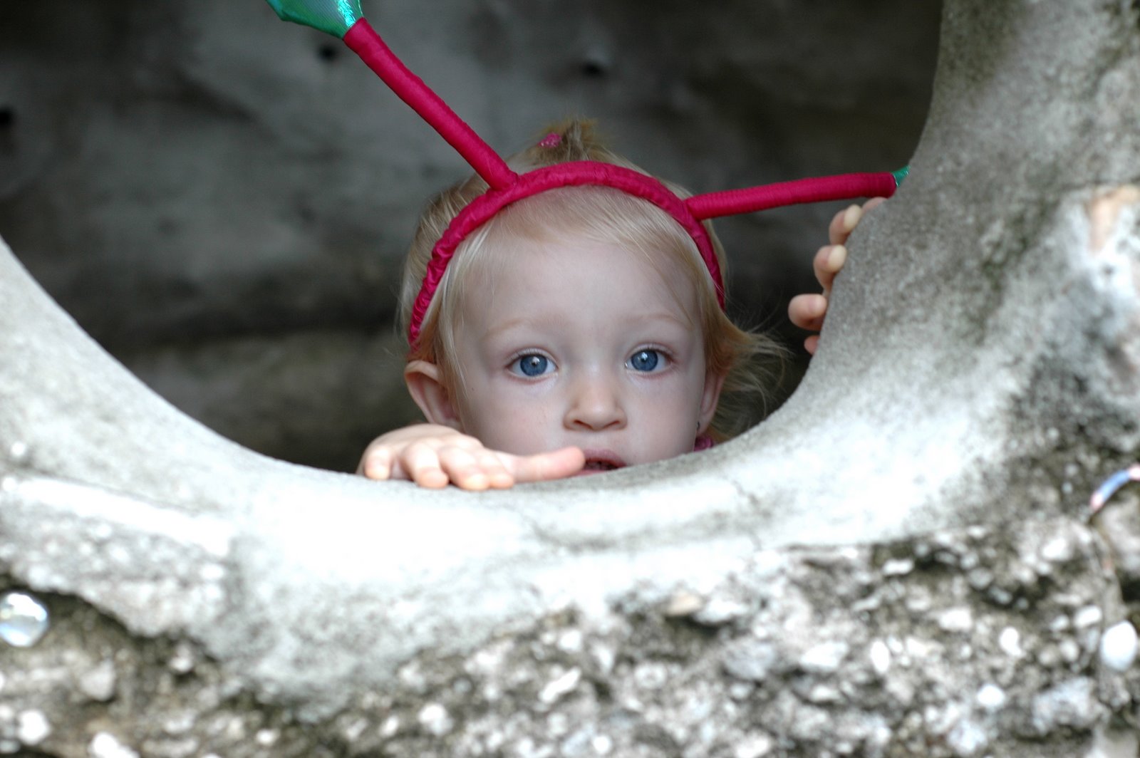 [Children'sGarden0274.JPG]