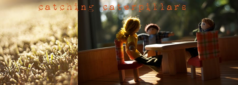 Catching Caterpillars