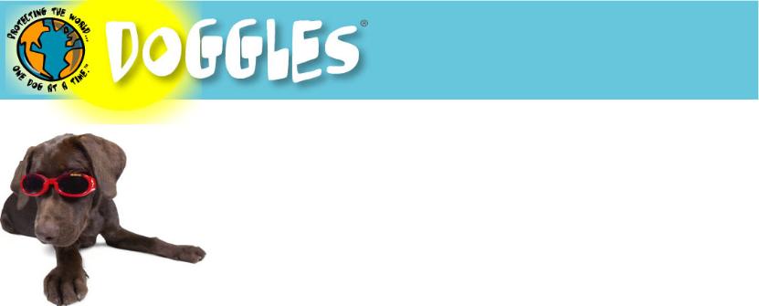 [homepage_background6-831x335.jpg]