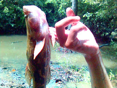 Flood fishing at the swamp.