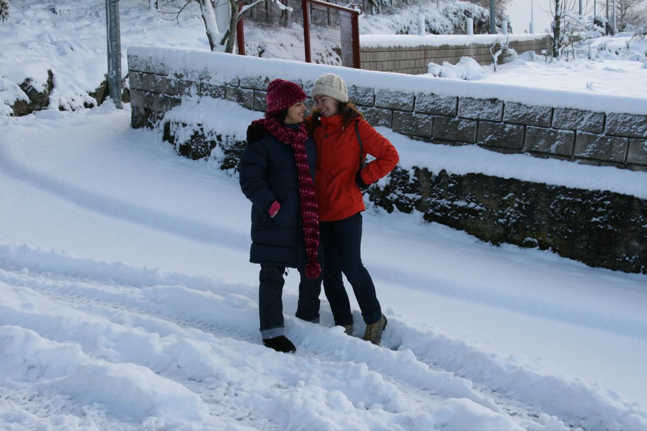 [IMG_6595.jpg]