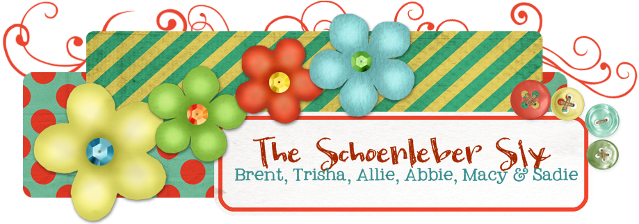 The Schoenleber Family