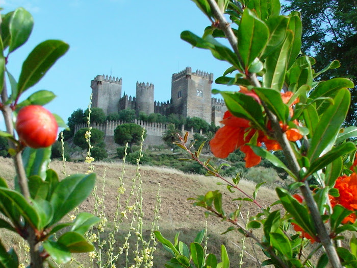 Castillo de Almodóvar