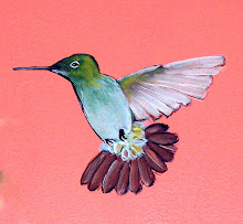 follow me on twitter