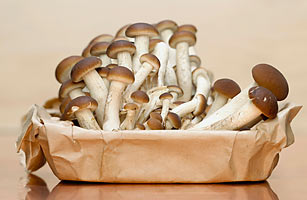 [dangerous_foods_mushrooms.jpg]