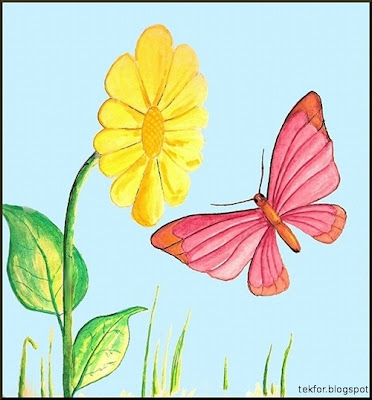 butterfly and flowerWatercolor paintings