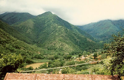 Nilgiris Mountain.