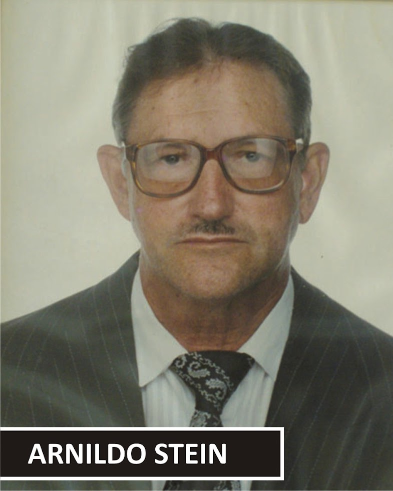 Anildo Stein