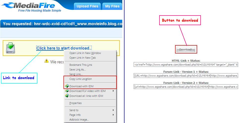 [Link+-+Button.JPG]