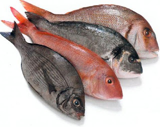 Ikan Mentah