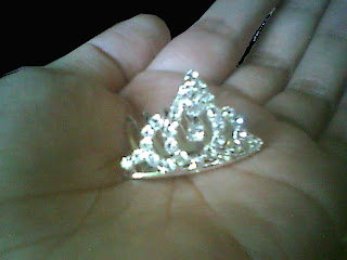 diys picture clipper from divi mall