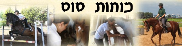 כוחות סוס - Horse Powers