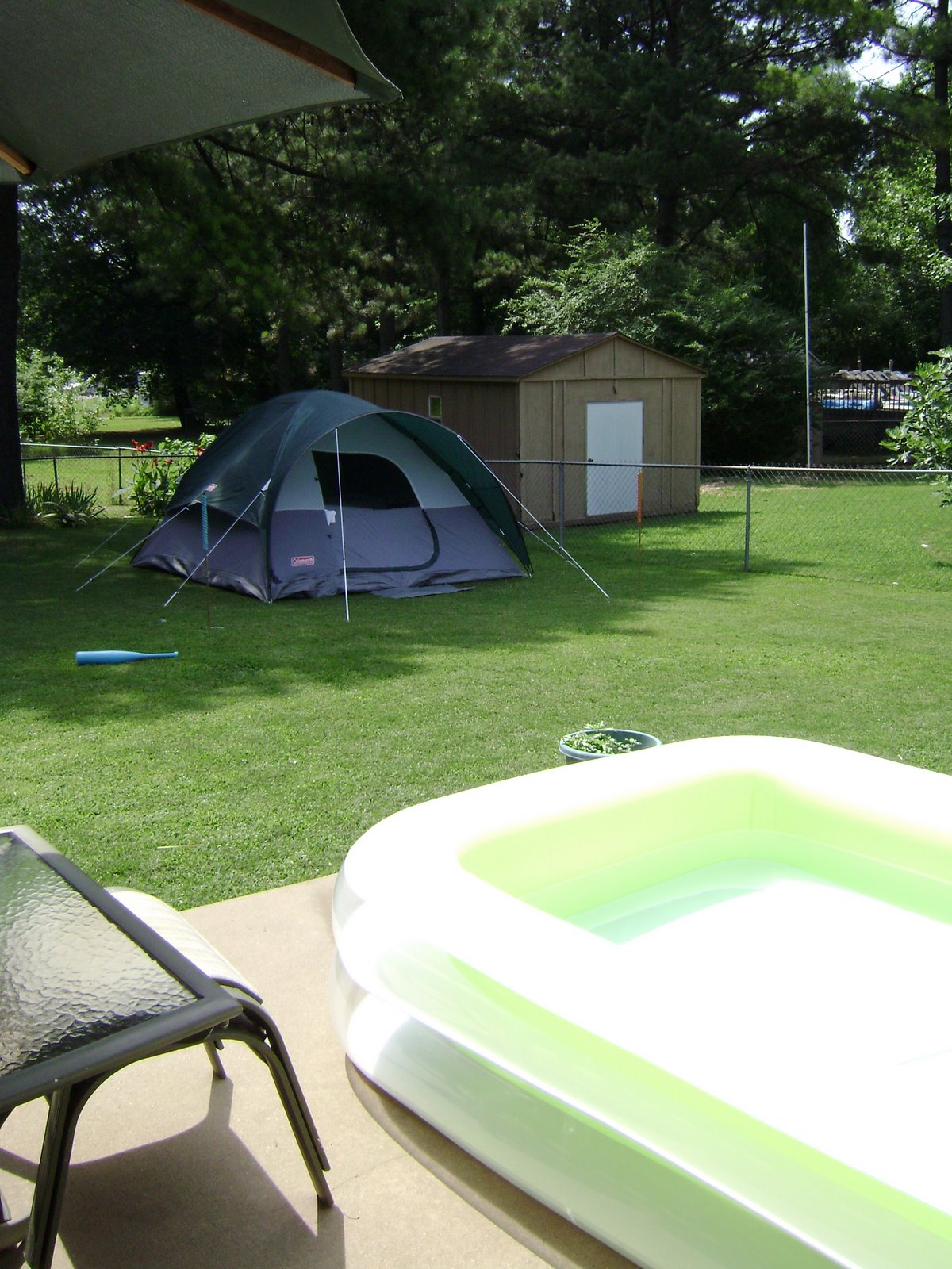 [DSC00253.JPG]