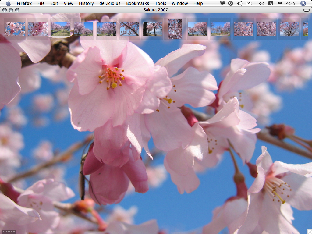 [ピクチャ+5.png]