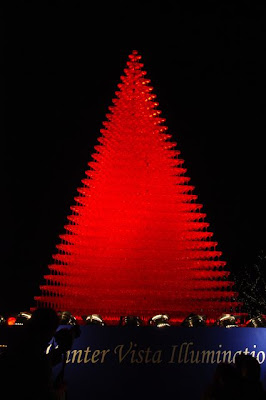 Toshiko S Diary 立川 クリスマスイルミネーション 昭和記念公園編