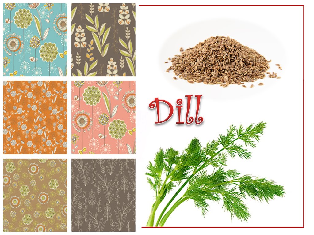 Spicy Life of Spices Dill