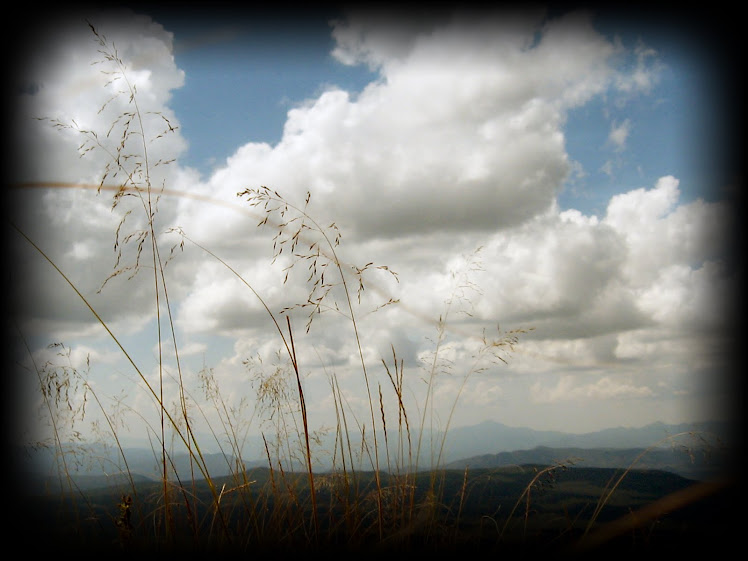 GOD'S CREATION