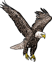 [eagle_clipart_2.gif]