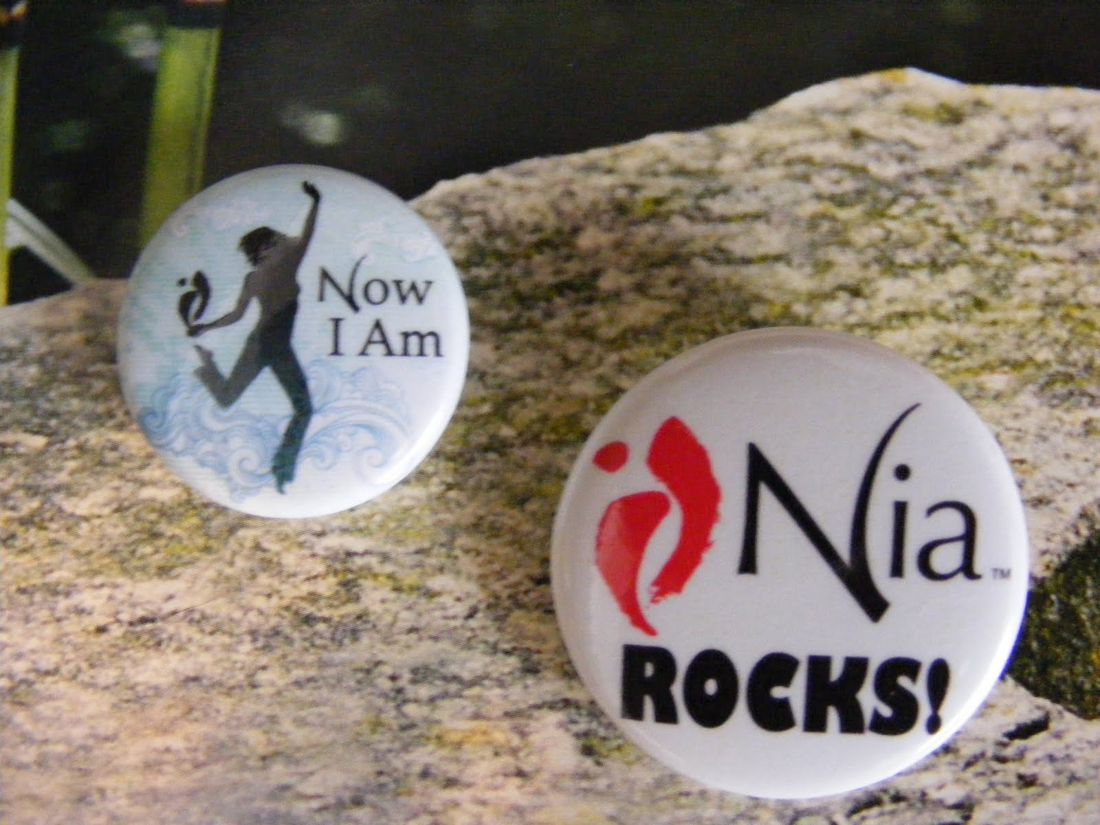 [Nia+Button_NiaRocks_Picture.JPG]