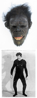 [ape-dr.jpg]