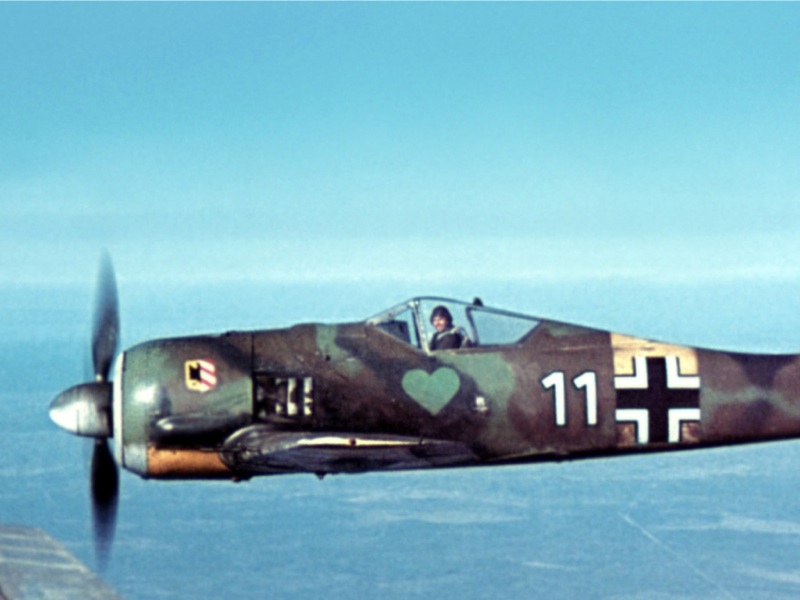 Fw_190_A_JG_54_11+_Farbe_1-1.jpg