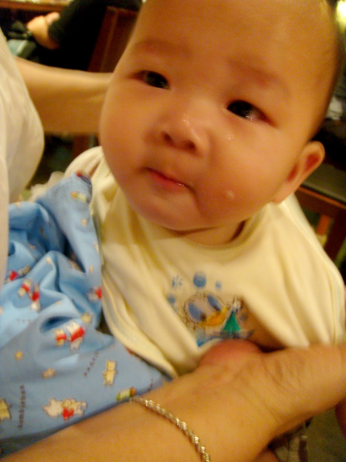 [DSC04192.JPG]