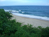 COSTA BARAHONA