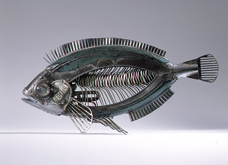 [poisson.jpg]
