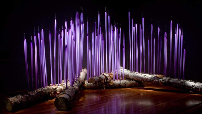[3066_deYoung_TR_B.jpg]