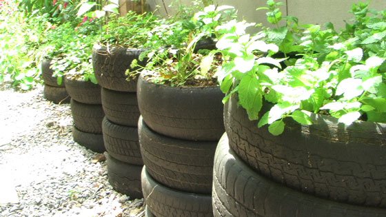 [img4907593048aa3.jpg]