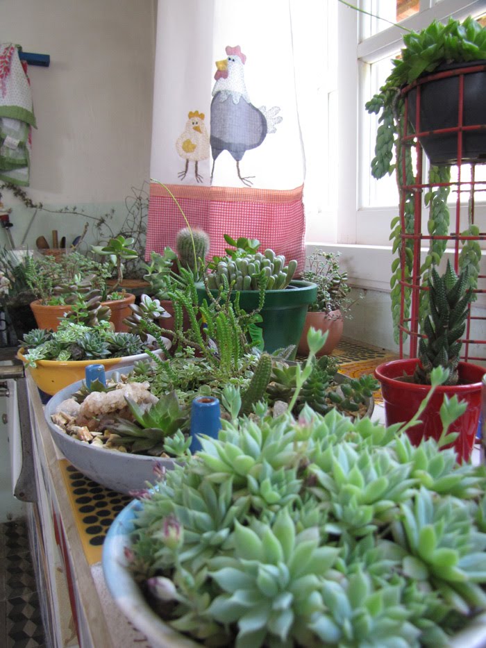 meu quintal meu jardim:numa caixa de brinquedos do meu sobrinho encontrei esse explorador meu quintal meu jardim:numa caixa de brinquedos do meu sobrinho encontrei esse explorador