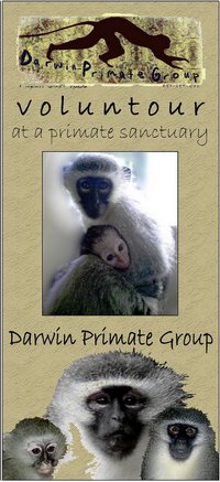 VOLUNTOUR WITH THE DPG
