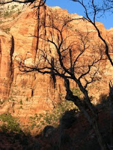 Zion National Park