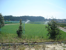 Campo de Futebol (40m x 20m )