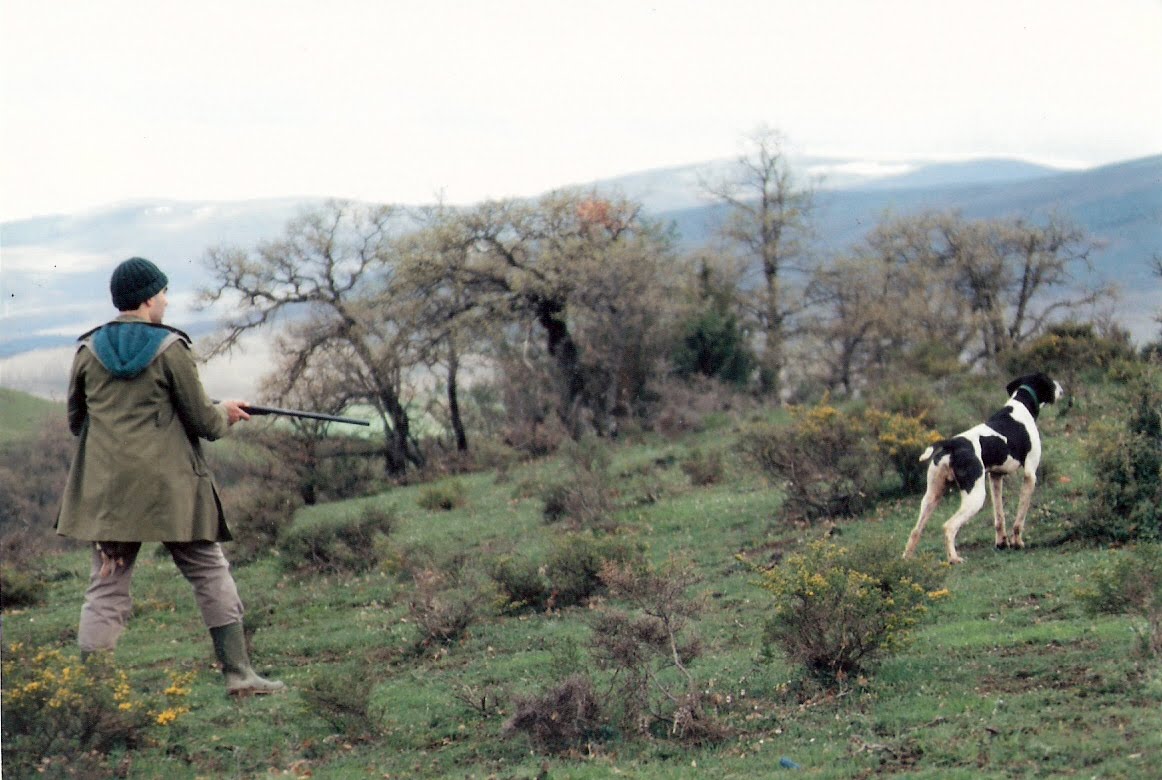 Taffy, Cazador En La Jungla [1965] new release dvds lazymanager