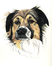 Portraits