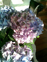 Hortensia