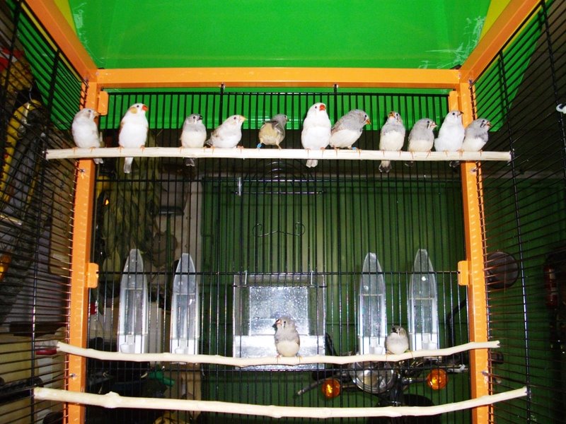 [IMGP0745.JPG]