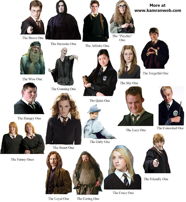 desy potter: HARRY POTTER and the deathly hallows