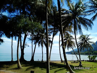 Beach (photograph)