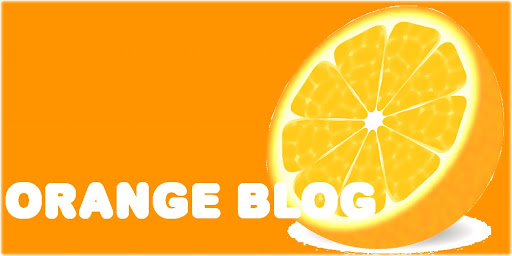 ORANGE BLOG