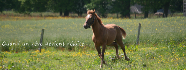 Quand un rêve devient réalité...